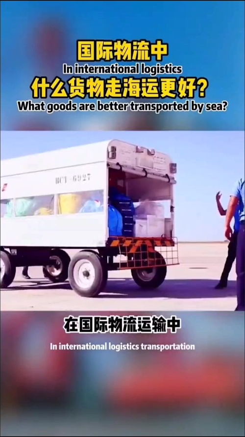 國(guó)際物流中適宜海運(yùn)的貨物類型及公路國(guó)際貨物運(yùn)輸代理的重要性
